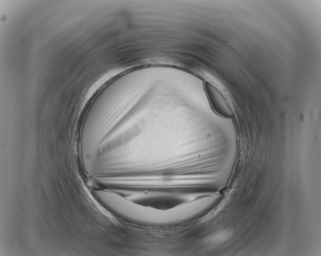 X0000086061141200704202054