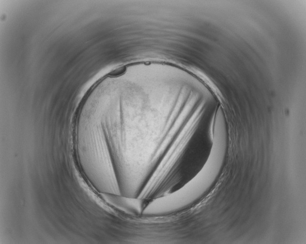 X0000086061142200704202054