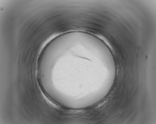 X0000086061143200704202054