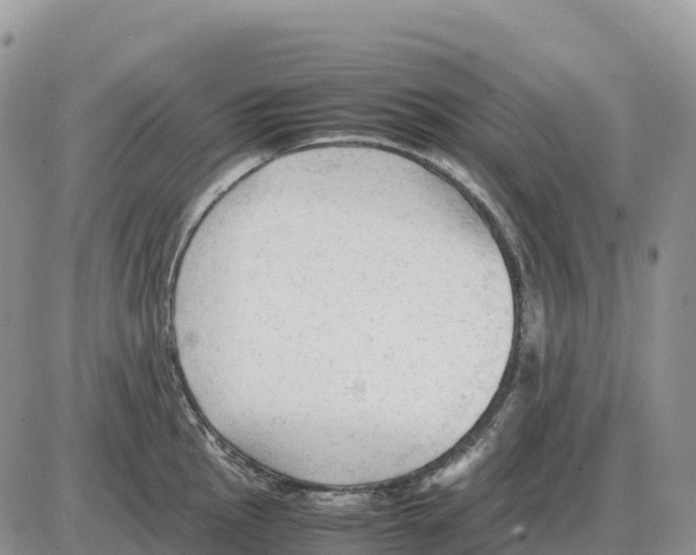 X0000086061145200704202054