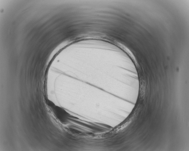 X0000086061146200704202054