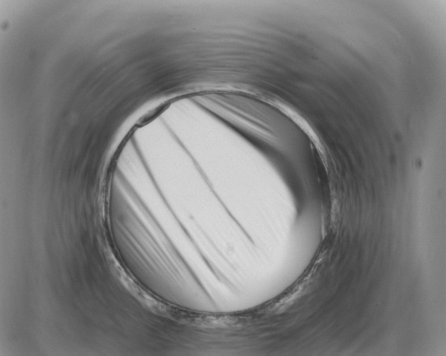 X0000086061148200704202054