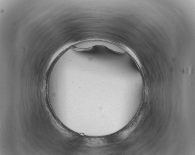 X0000086061149200704202054