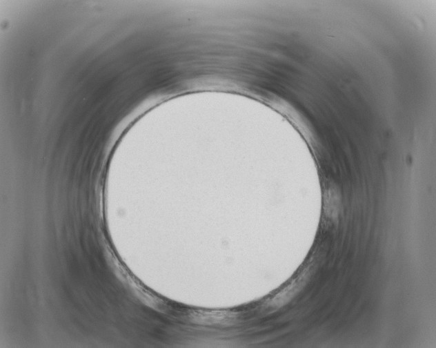 X0000086061150200704202054