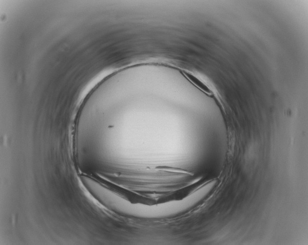 X0000086061151200704202054