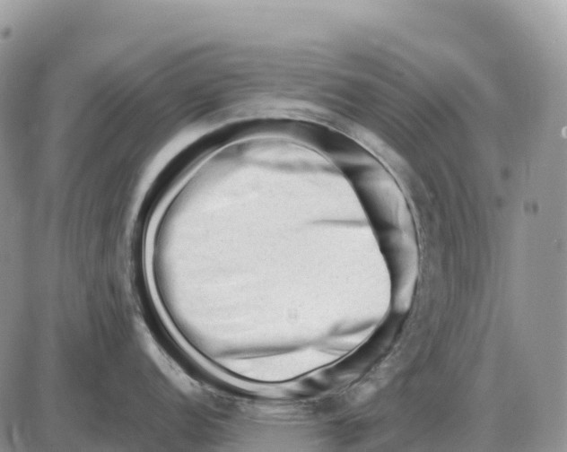 X0000086061152200704202054