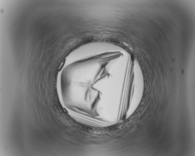 X0000086061153200704202054