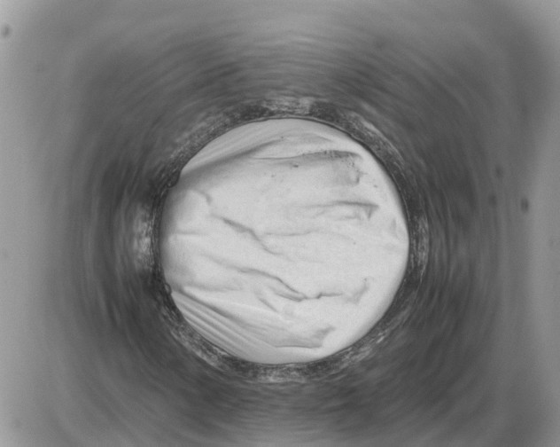 X0000086061154200704202054