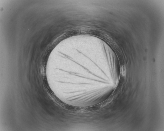 X0000086061155200704202054