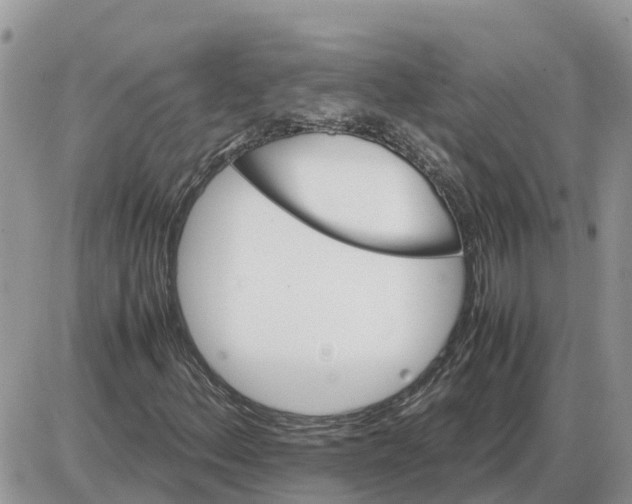 X0000086061156200704202054