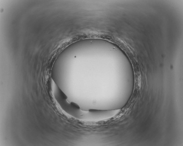 X0000086061157200704202054