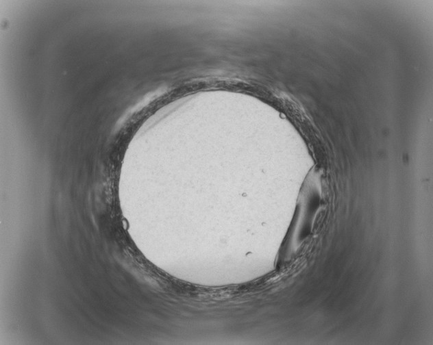 X0000086061159200704202054