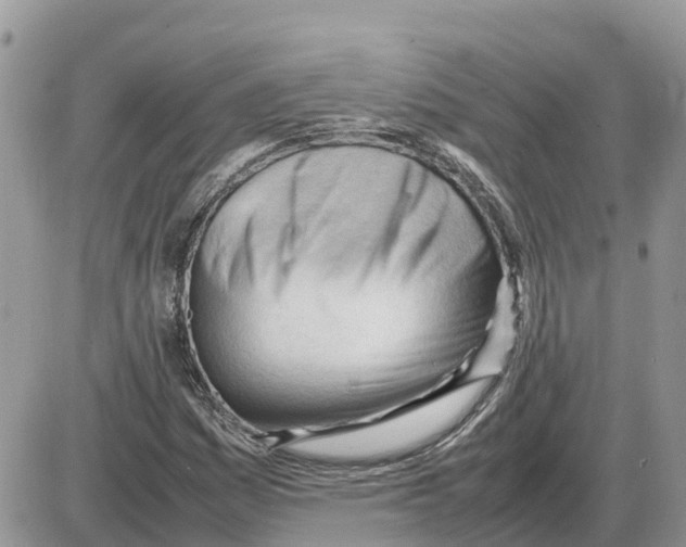 X0000086061161200704202054