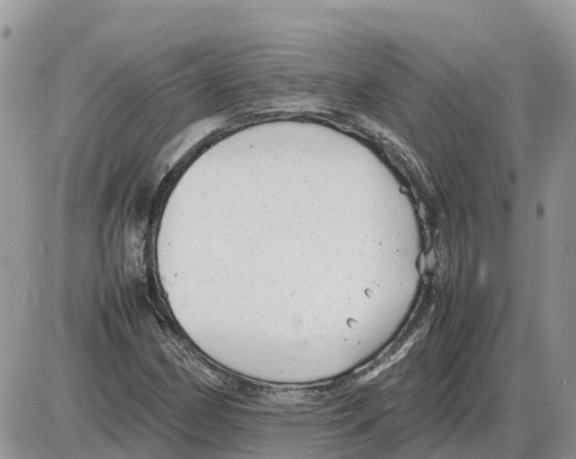 X0000086061162200704202053