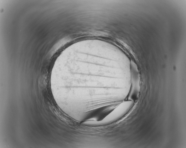 X0000086061163200704202053