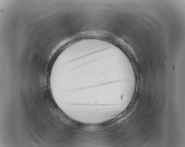 X0000086061166200704202053