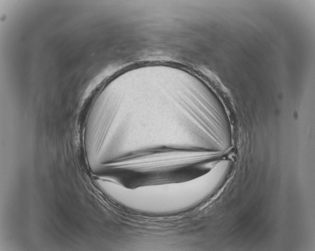 X0000086061167200704202053