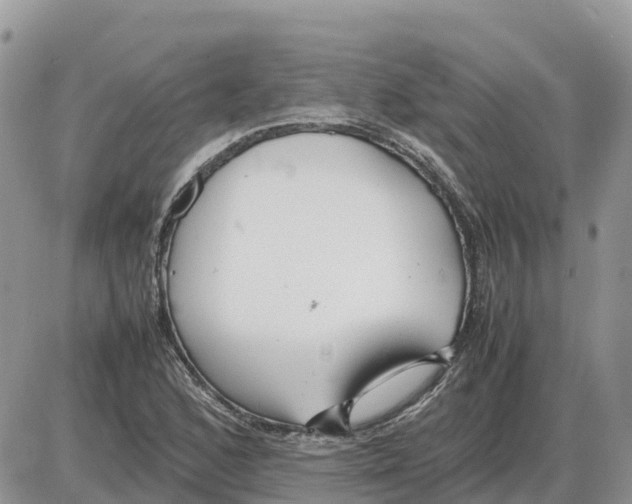 X0000086061168200704202053