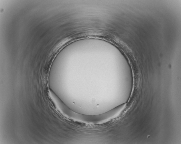 X0000086061169200704202053