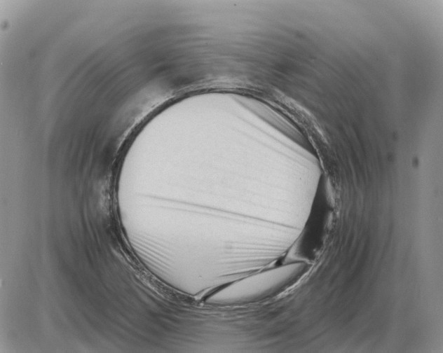 X0000086061170200704202053