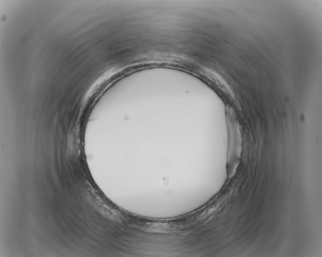 X0000086061172200704202053