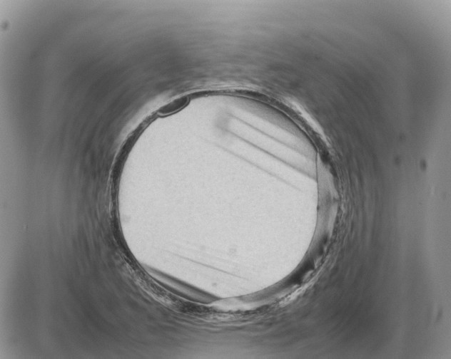 X0000086061173200704202053