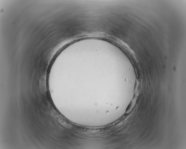 X0000086061174200704202053