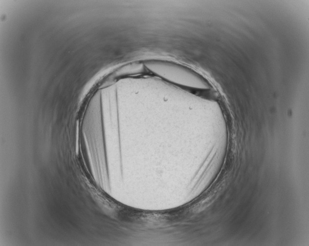 X0000086061175200704202053