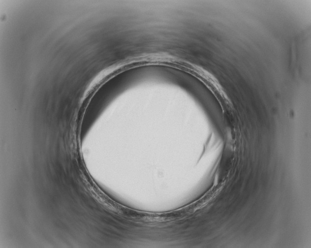 X0000086061176200704202053