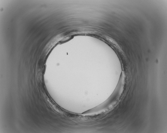 X0000086061177200704202053