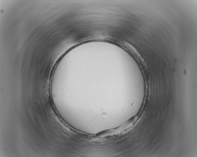 X0000086061178200704202053