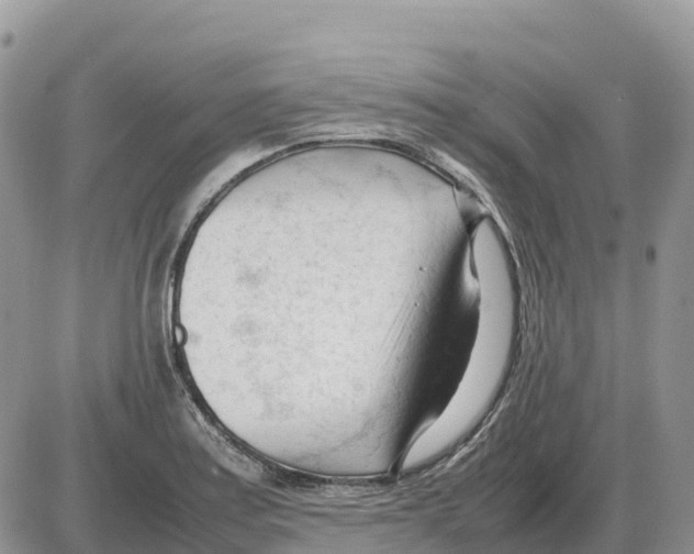 X0000086061179200704202053