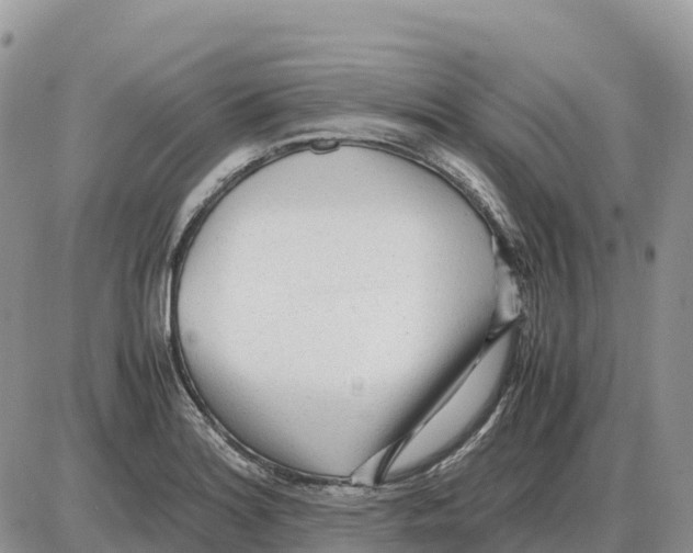 X0000086061180200704202053