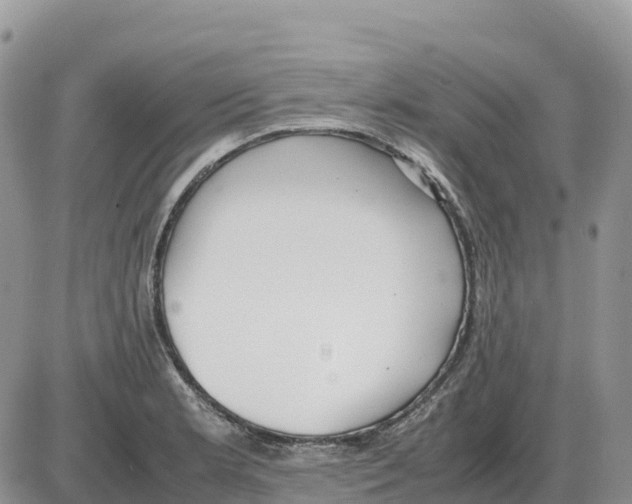 X0000086061181200704202053