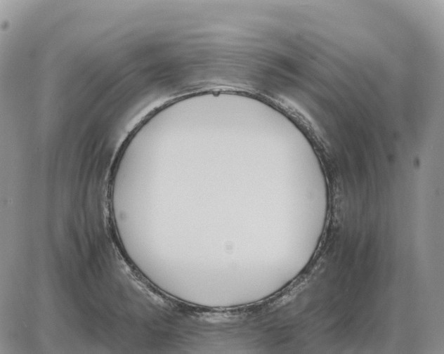 X0000086061182200704202053