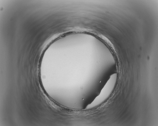 X0000086061183200704202053