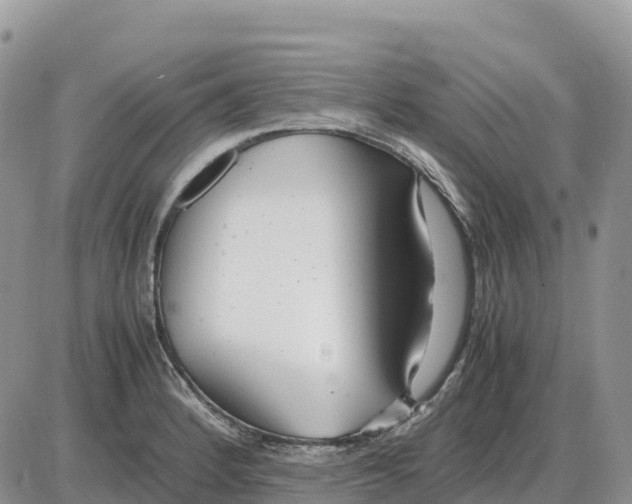 X0000086061184200704202053