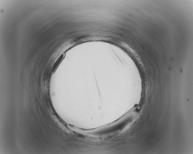 X0000086061185200704202053