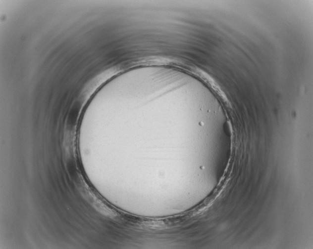 X0000086061186200704202053