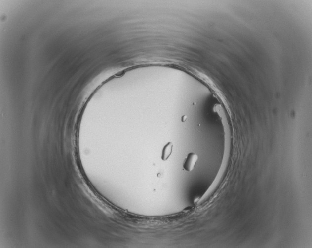 X0000086061187200704202053