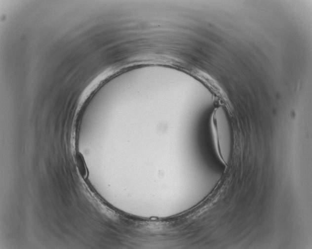 X0000086061188200704202053