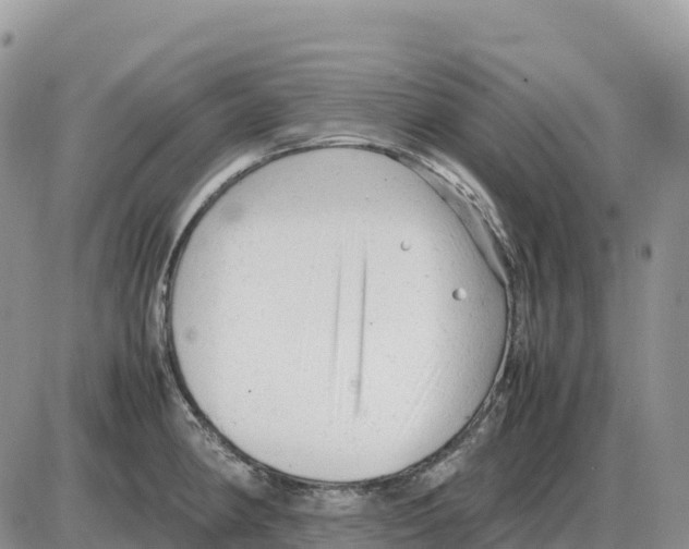 X0000086061190200704202053