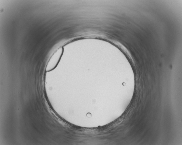 X0000086061191200704202053