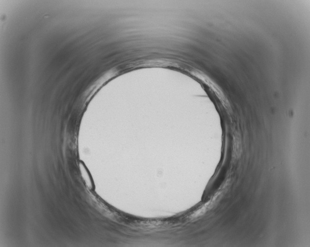 X0000086061193200704202053