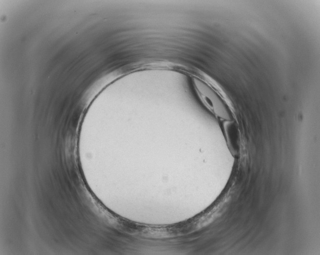 X0000086061194200704202053