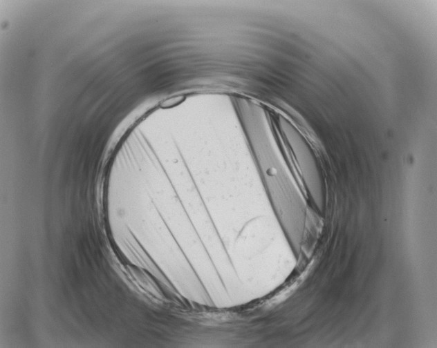 X0000086061196200704202053