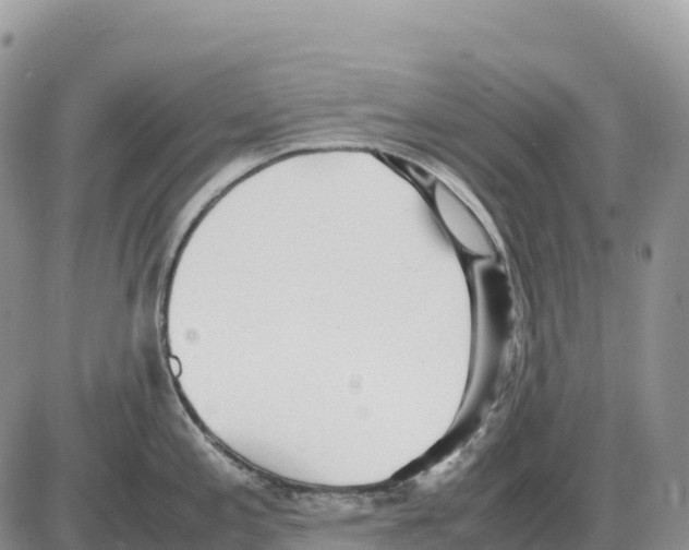 X0000086061197200704202053