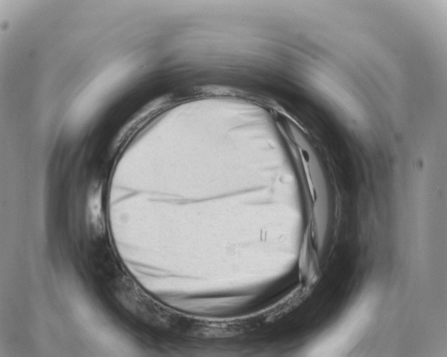 X0000086061198200704202053