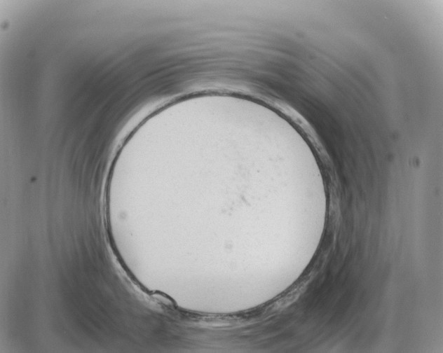 X0000086061199200704202053