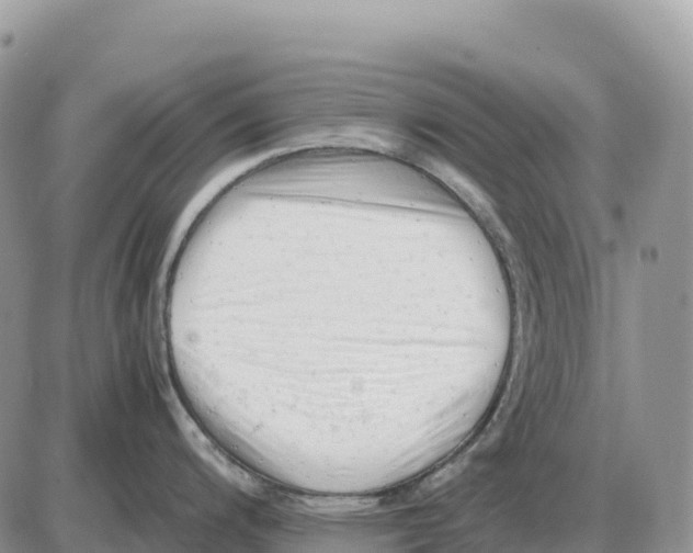 X0000086061200200704202053